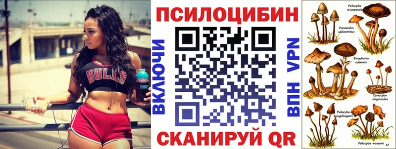 Псилоцибиновые грибы Magic Shrooms  darknet официальный сайт  Дмитров 